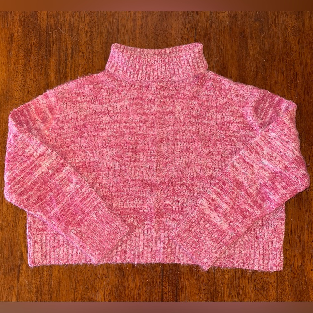 francesca’s cropped turtleneck sweatshirt